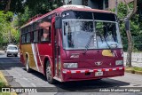 Autobuses sin identificación - Costa Rica 00 na cidade de San José, San José, Costa Rica, por Andrés Martínez Rodríguez. Número da foto: #13104471.