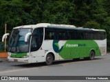 Pássaro Verde 29015 na cidade de Viçosa, Minas Gerais, Brasil, por Christian  Fortunato. Número da foto: #:id.