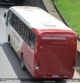 Rouxinol 2130 na cidade de Contagem, Minas Gerais, Brasil, por Athos Arruda. Número da foto: #13105270.