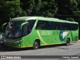 Pássaro Verde 1046 na cidade de Viçosa, Minas Gerais, Brasil, por Christian  Fortunato. Número da foto: #:id.