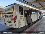Araucária Transportes Coletivos 19404 na cidade de Curitiba, Paraná, Brasil, por Bruno Silva. Número da foto: #:id.