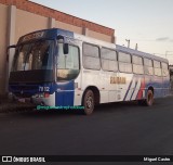 Transporte Rural 7812 na cidade de Severínia, São Paulo, Brasil, por Miguel Castro. Número da foto: #13103770.