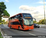Catedral Turismo 24417 na cidade de São Paulo, São Paulo, Brasil, por Luciano  Piske. Número da foto: #13104363.