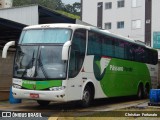 Pássaro Verde 28034 na cidade de Viçosa, Minas Gerais, Brasil, por Christian  Fortunato. Número da foto: #13105042.
