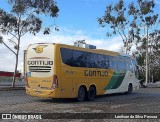 Empresa Gontijo de Transportes 21560 na cidade de Caruaru, Pernambuco, Brasil, por Lenilson da Silva Pessoa. Número da foto: #13107380.