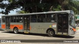 TRANSPPASS - Transporte de Passageiros 8 0362 na cidade de São Paulo, São Paulo, Brasil, por Cleverson Giraldi. Número da foto: #13107481.