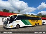 Empresa Gontijo de Transportes 19635 na cidade de João Monlevade, Minas Gerais, Brasil, por Fabrício Rodrigo Telles. Número da foto: #13107301.