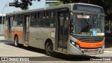 TRANSPPASS - Transporte de Passageiros 8 0362 na cidade de São Paulo, São Paulo, Brasil, por Cleverson Giraldi. Número da foto: #13107473.