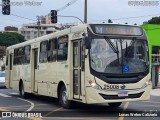 Viação Castelo Branco 25008 na cidade de Curitiba, Paraná, Brasil, por Lucas Weber Calizario. Número da foto: #13105942.