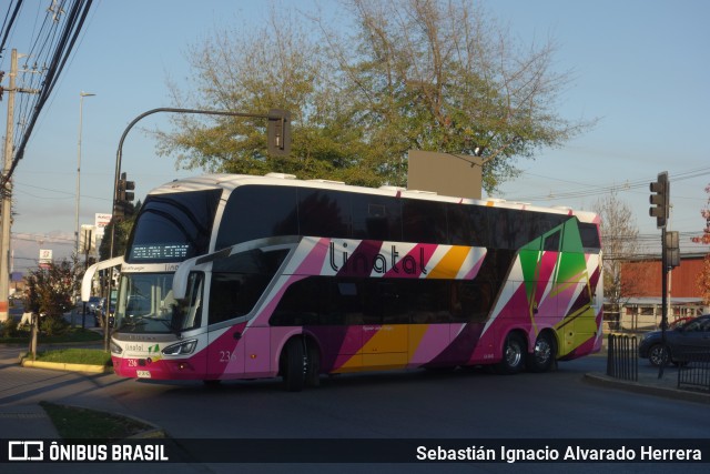 Buses Linatal 236 na cidade de Linares, Linares, Maule, Chile, por Sebastián Ignacio Alvarado Herrera. Número da foto: #13109983.