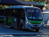 Transcooper > Norte Buss 1 6045 na cidade de São Paulo, São Paulo, Brasil, por Rogério Teixeira Varadi. Número da foto: #13108555.