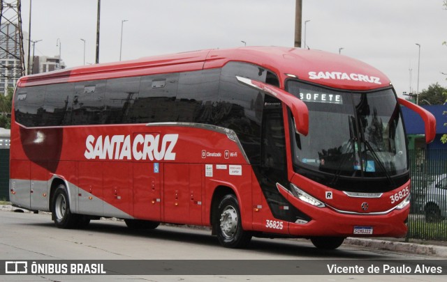 Viação Santa Cruz 36825 na cidade de São Paulo, São Paulo, Brasil, por Vicente de Paulo Alves. Número da foto: #13111499.