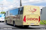 Gidion Transporte e Turismo 22509 na cidade de Joinville, Santa Catarina, Brasil, por Diego Lip. Número da foto: #13111234.