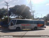 Transportes Capellini 53025 na cidade de Campinas, São Paulo, Brasil, por Leo Rodrigues. Número da foto: #:id.