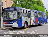 Transportes Capellini 33.111 na cidade de Campinas, São Paulo, Brasil, por Danilo Augusto. Número da foto: #13110727.