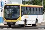 COOTEGO - Cooperativa de Transportes do Estado de Goiás 40180 na cidade de Senador Canedo, Goiás, Brasil, por Adriel Philipe. Número da foto: #13111755.