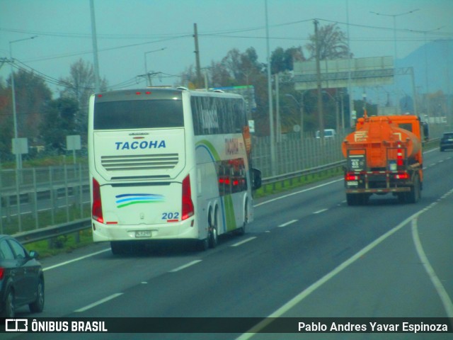 Tacoha 202 na cidade de Rengo, Cachapoal, Libertador General Bernardo O'Higgins, Chile, por Pablo Andres Yavar Espinoza. Número da foto: #13114756.