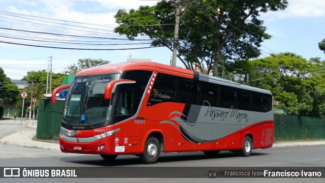 Empresa de Ônibus Pássaro Marron 5931 na cidade de São Paulo, São Paulo, Brasil, por Francisco Ivano. Número da foto: #13115940.