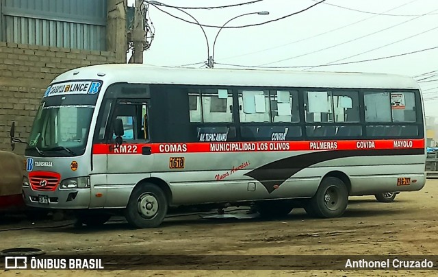 TRANSNASA - Transporte Nueva America 206 na cidade de Carabayllo, Lima, Lima Metropolitana, Peru, por Anthonel Cruzado. Número da foto: #13116098.
