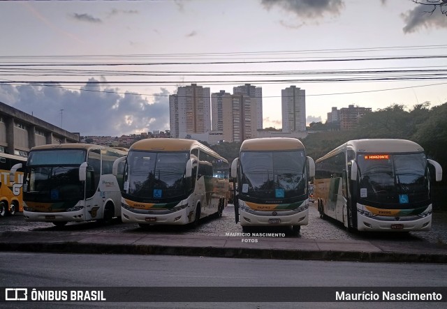 Empresa Gontijo de Transportes 19195 na cidade de Belo Horizonte, Minas Gerais, Brasil, por Maurício Nascimento. Número da foto: #13114091.