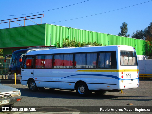 Escolares DFBY51 na cidade de Santa Cruz, Colchagua, Libertador General Bernardo O'Higgins, Chile, por Pablo Andres Yavar Espinoza. Número da foto: #13114868.