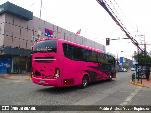 Pullman Contimar 40 na cidade de Santa Cruz, Colchagua, Libertador General Bernardo O'Higgins, Chile, por Pablo Andres Yavar Espinoza. Número da foto: #13114897.