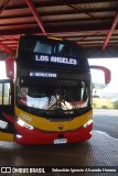JAC 7806 na cidade de Temuco, Cautín, Araucanía, Chile, por Sebastián Ignacio Alvarado Herrera. Número da foto: #13112943.