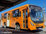 Transporte Coletivo Glória BI882 na cidade de Curitiba, Paraná, Brasil, por Gabriel Spiss. Número da foto: #13113170.