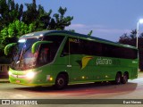 Pássaro Verde 16913 na cidade de Ponte Nova, Minas Gerais, Brasil, por Davi Neves. Número da foto: #13115363.