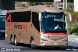 Primera Plus 5339 na cidade de Querétaro, Querétaro, México, por Fabián Reyes. Número da foto: #13116114.