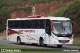 Viação Novo Horizonte 302 na cidade de Muriaé, Minas Gerais, Brasil, por Christian  Fortunato. Número da foto: #13113142.