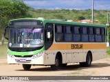 Auto Viação Tabosa 2229 na cidade de Caruaru, Pernambuco, Brasil, por Marcos Lisboa. Número da foto: #13114263.