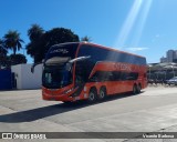 Catedral Turismo 24107 na cidade de Goiânia, Goiás, Brasil, por Vicente Barbosa. Número da foto: #:id.
