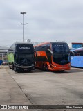 Catedral Turismo 20315 na cidade de Goiânia, Goiás, Brasil, por Silas Gouvea. Número da foto: #13114343.