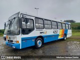 Novix Bus 42527 na cidade de Juiz de Fora, Minas Gerais, Brasil, por Edinilson Henrique Ferreira. Número da foto: #13113464.