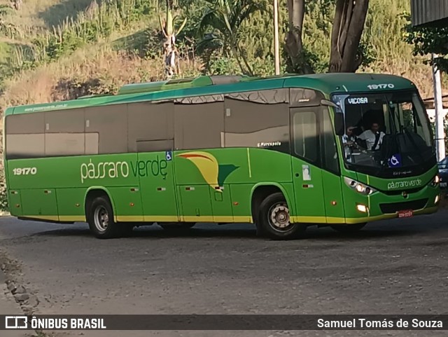 Pássaro Verde 19170 na cidade de Ponte Nova, Minas Gerais, Brasil, por Samuel Tomás de Souza. Número da foto: #13117359.