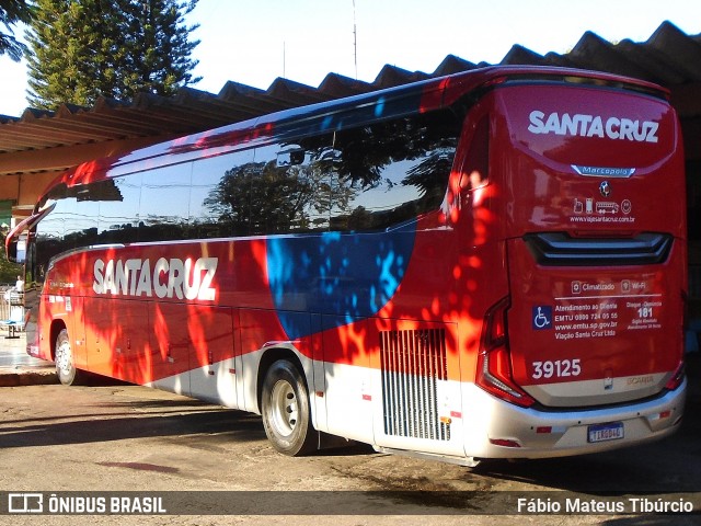 Viação Santa Cruz 39125 na cidade de Três Corações, Minas Gerais, Brasil, por Fábio Mateus Tibúrcio. Número da foto: #13118086.