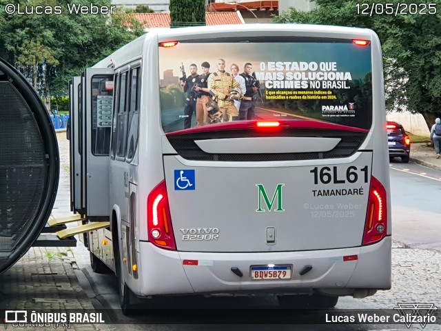 Viação Tamandaré 16L61 na cidade de Curitiba, Paraná, Brasil, por Lucas Weber Calizario. Número da foto: #13117417.