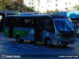 Transcooper > Norte Buss 1 6557 na cidade de São Paulo, São Paulo, Brasil, por Rogério Teixeira Varadi. Número da foto: #13117707.