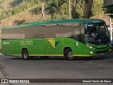 Pássaro Verde 19170 na cidade de Ponte Nova, Minas Gerais, Brasil, por Samuel Tomás de Souza. Número da foto: #13117359.
