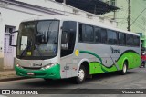 Turin Transportes 1260 na cidade de Ponte Nova, Minas Gerais, Brasil, por Vinicius Silva. Número da foto: #13117424.