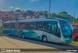 Vianel > Auto Viação Pioneira 02060 na cidade de Belo Horizonte, Minas Gerais, Brasil, por Pietro Briggs. Número da foto: #13117413.