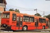 Gaio Azul 36E36 na cidade de Curitiba, Paraná, Brasil, por Matheus Felipe. Número da foto: #13116128.