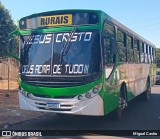 Transporte Rural 3633 na cidade de Severínia, São Paulo, Brasil, por Miguel Castro. Número da foto: #13116831.