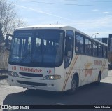 Transventur 619 na cidade de Pelotas, Rio Grande do Sul, Brasil, por Fábio Oliveira. Número da foto: #13117912.