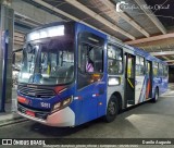 Transportes Capellini 19.151 na cidade de Campinas, São Paulo, Brasil, por Danilo Augusto. Número da foto: #13119374.