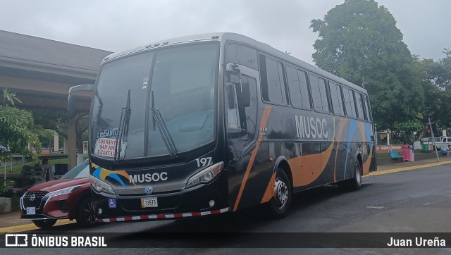 Musoc 197 na cidade de San Marcos, Tarrazú, San José, Costa Rica, por Juan Ureña. Número da foto: #13181912.
