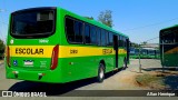 Transportes Capellini 32892 na cidade de Paulínia, São Paulo, Brasil, por Allan Henrique. Número da foto: #13183534.