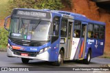 Transportes Capellini 19.096 na cidade de Campinas, São Paulo, Brasil, por Paulo Henrique Pereira Borges. Número da foto: #13182699.