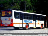 Empresa Pedrosa 212 na cidade de Recife, Pernambuco, Brasil, por Edjunior Sebastião. Número da foto: #13181594.